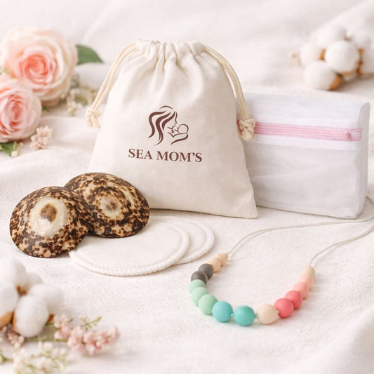 Pack Sea Moms: Coquillage d'allaitement + Collier d'allaitement