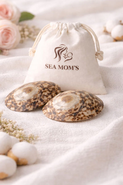 Coquillage d'allaitement