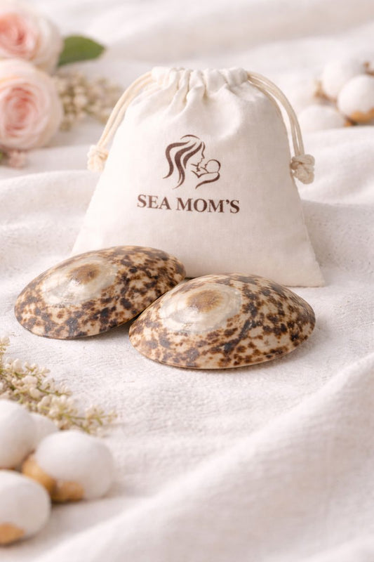 Coquillage d'allaitement